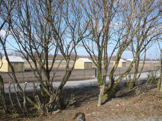 Site
