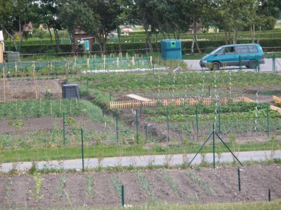 Nouveaux Jardins