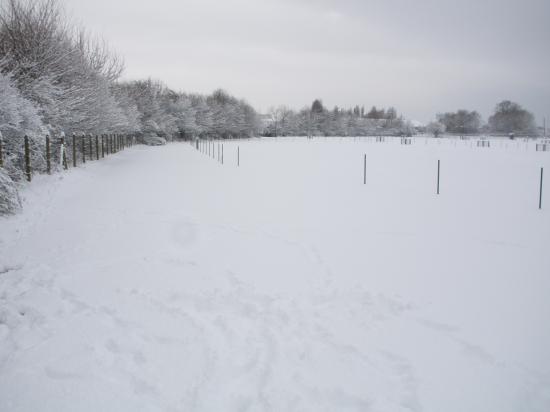 Site 19/12/2009