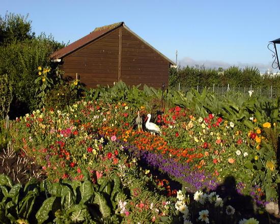 jardin de concours