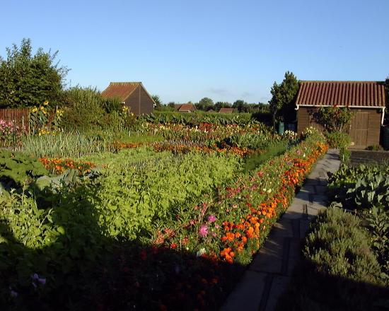 jardin de concours