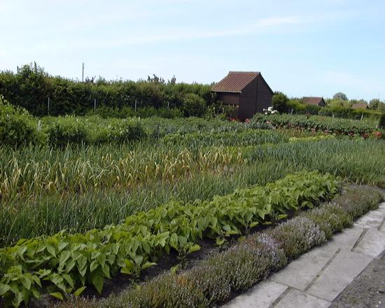 jardin de concours