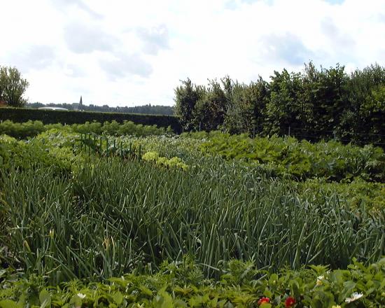 jardin de concours