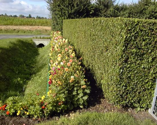 jardin de concours