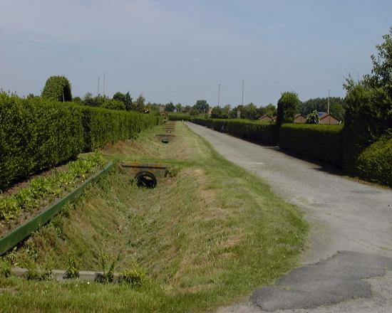 Site