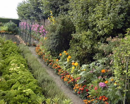 jardin de concours