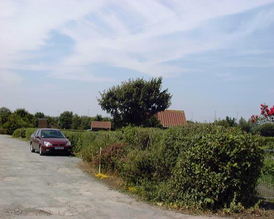 Site