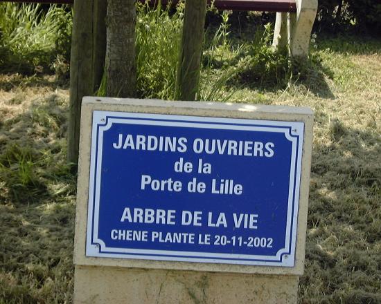 Arbre de vie