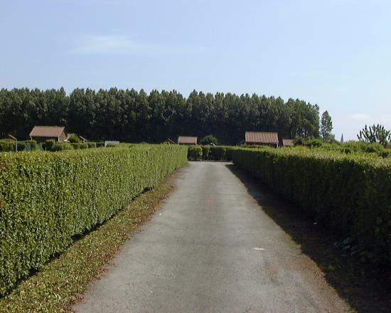 Site